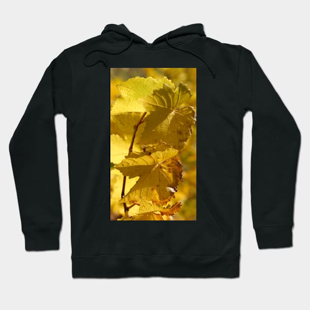 Autumn Vine - by South Australian artist Avril Thomas Hoodie by MagpieSprings